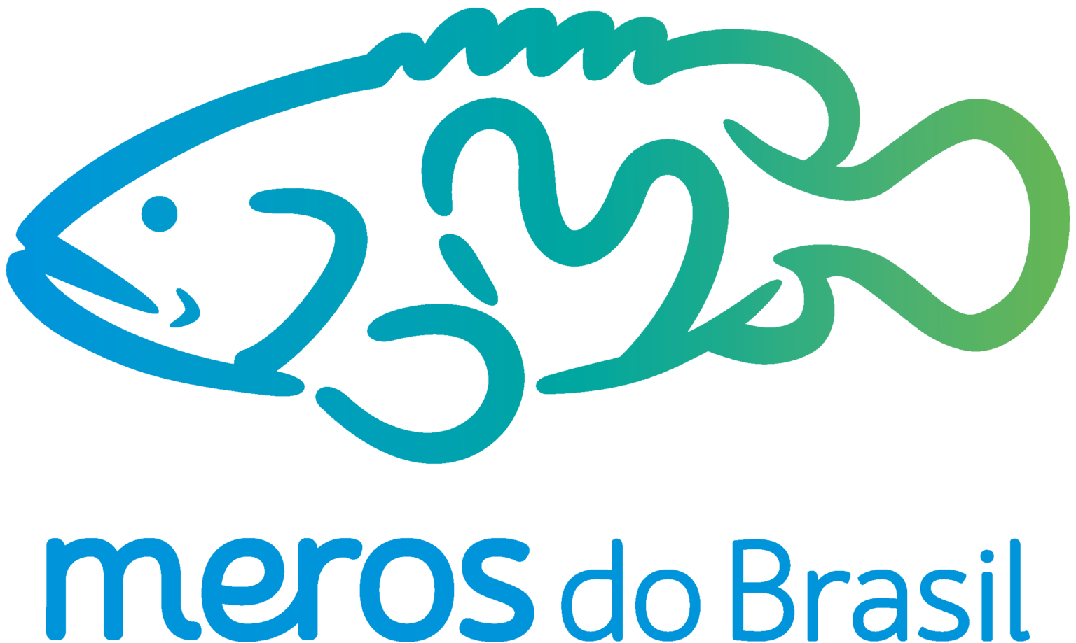 Mer Os Meros do Brasil – Projeto Meros do Brasil